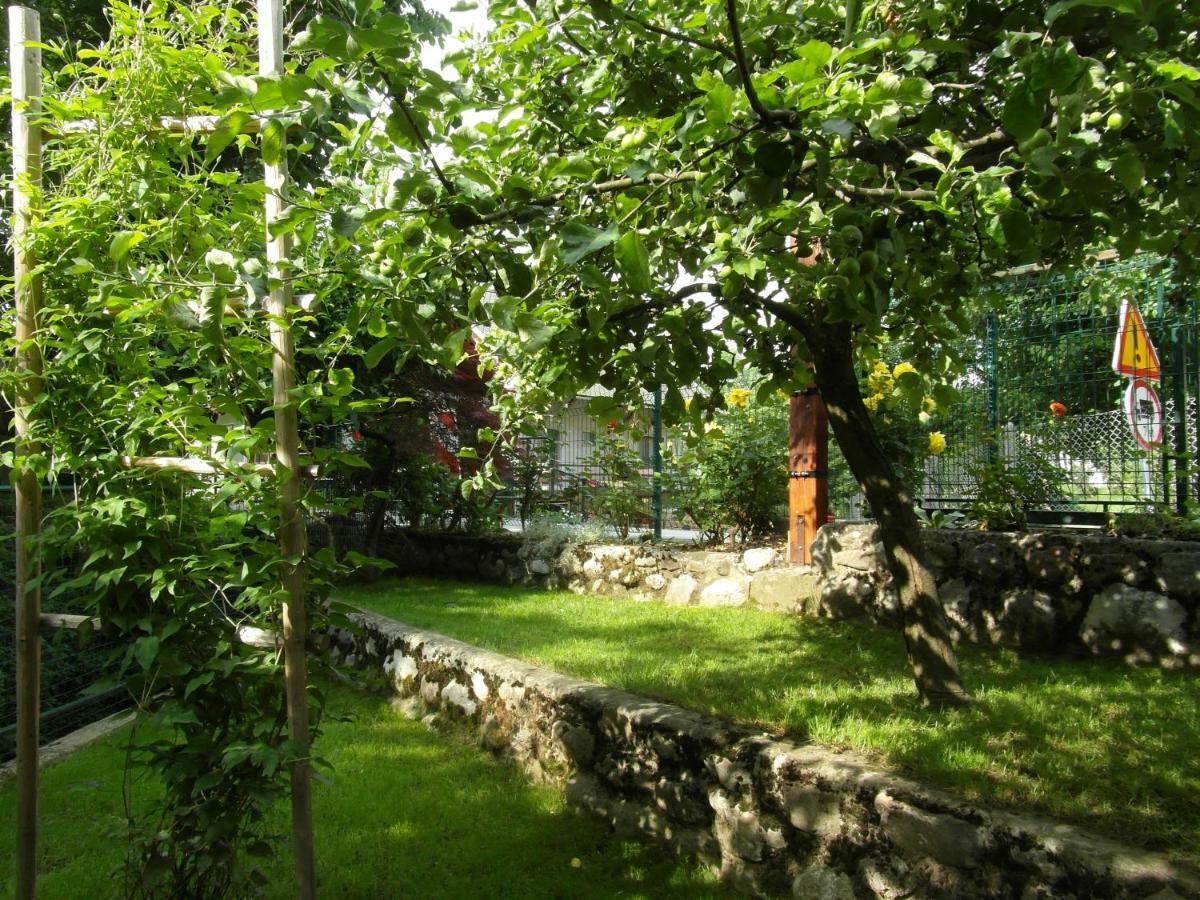 Apartma Pr Martin Begunje na Gorenjskem Esterno foto