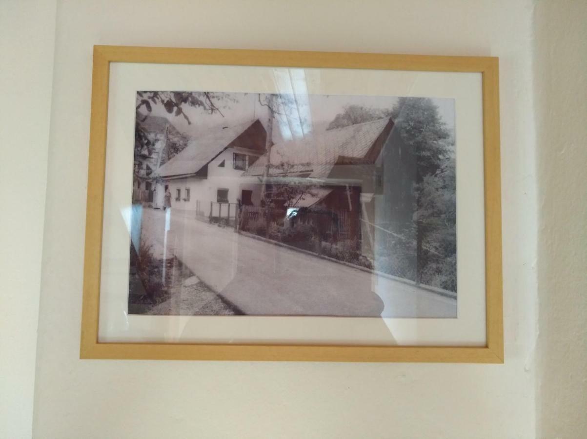 Apartma Pr Martin Begunje na Gorenjskem Esterno foto